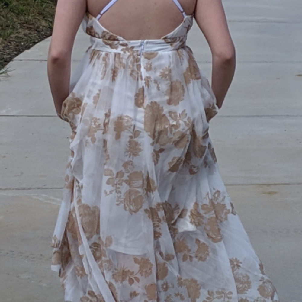 Prom Dress ( White Oak Boutique)